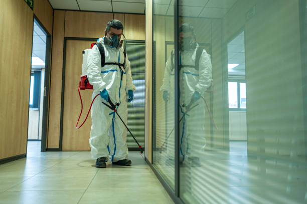 Best Fumigation Services  in USA